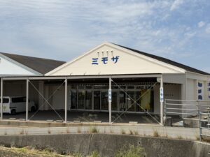 ミモザ