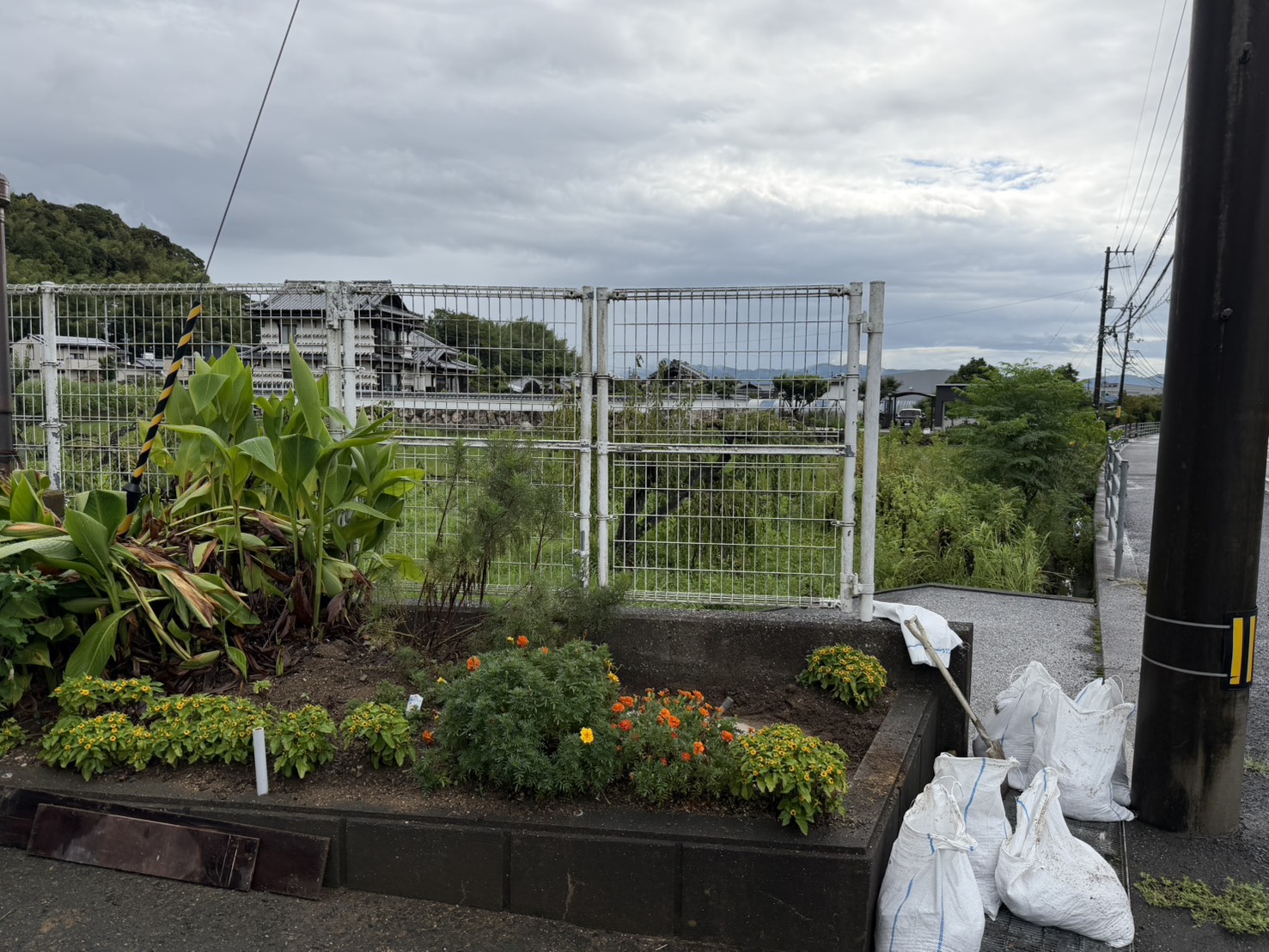 写真１