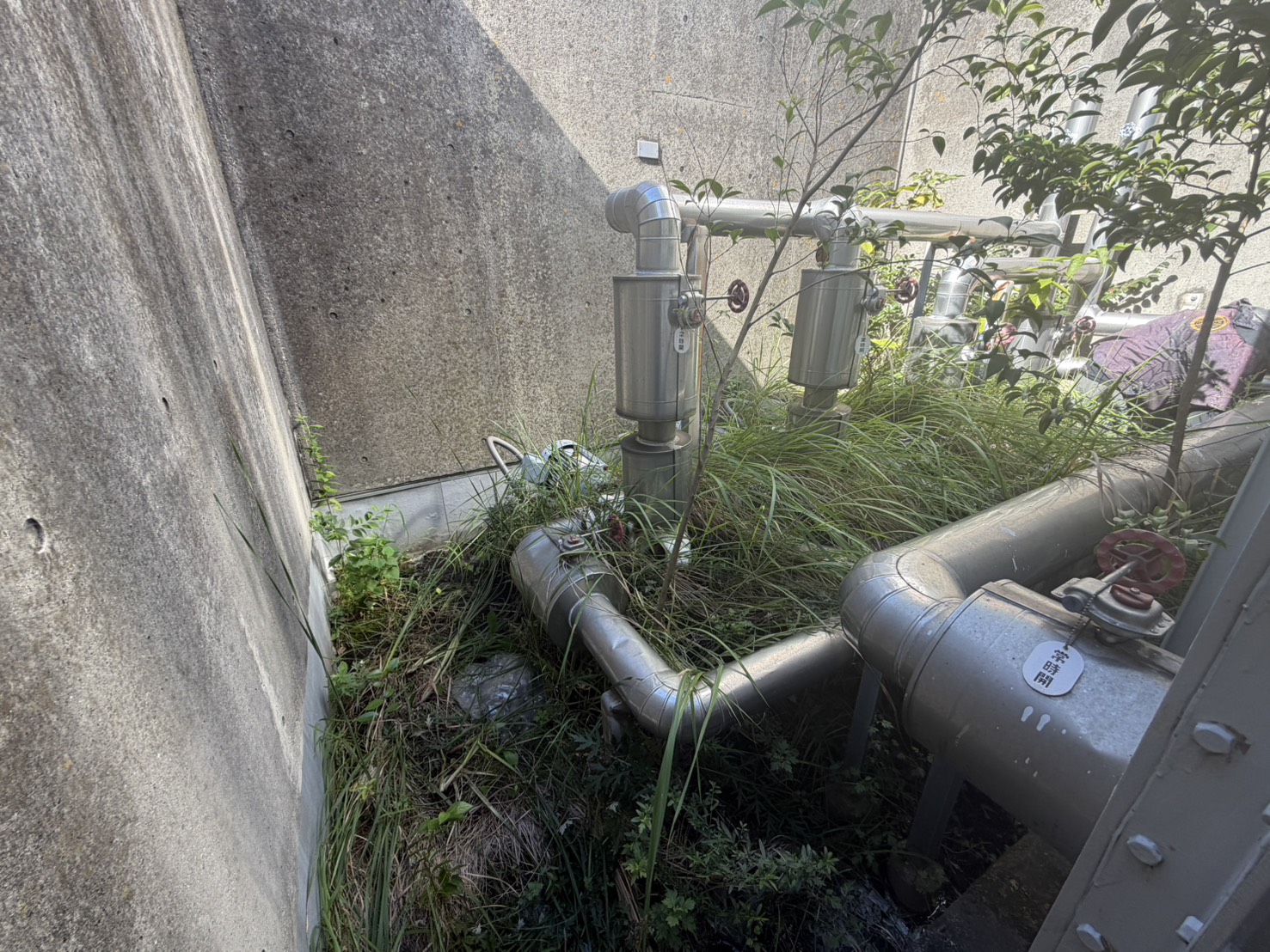 写真1