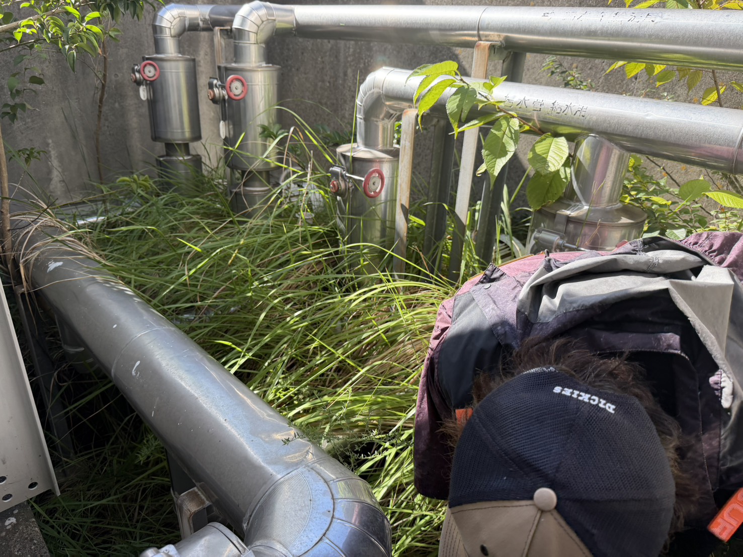 写真2